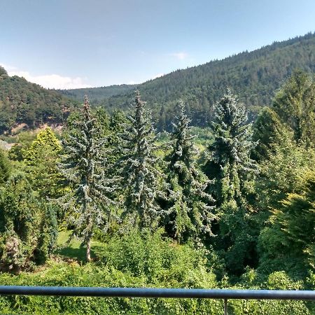 Hotel Zum Neckartal Heidelberg Ngoại thất bức ảnh