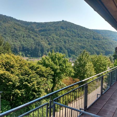Hotel Zum Neckartal Heidelberg Ngoại thất bức ảnh