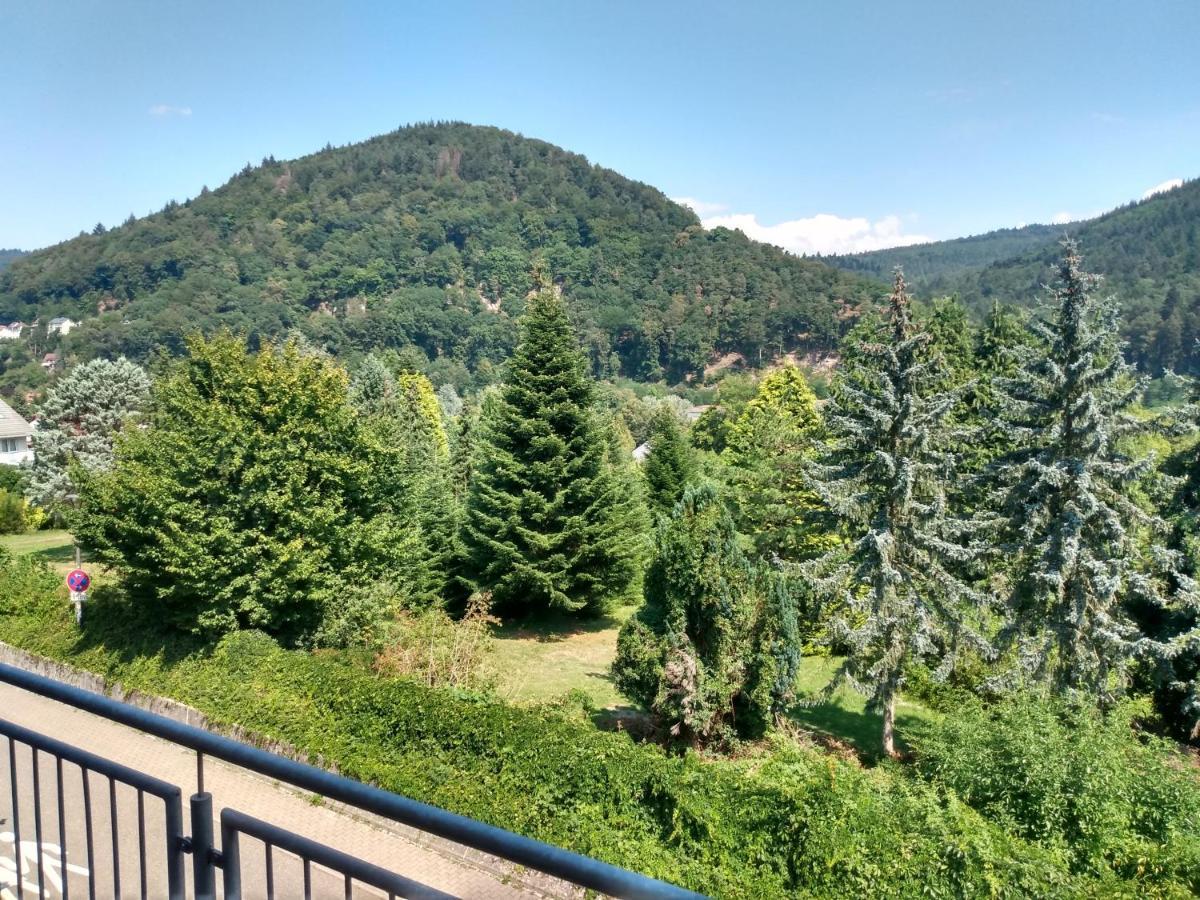 Hotel Zum Neckartal Heidelberg Ngoại thất bức ảnh